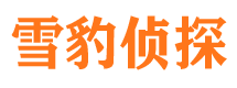 宜宾市私家侦探